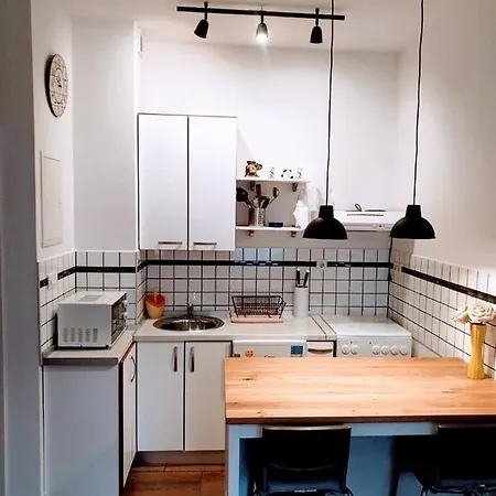 Apartment Studio Apartmant Leona With Parking Place *